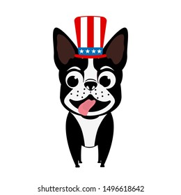 Patriotic Day USA vector illustration with happy boston terrier wearing Uncle Sam American flag hat. Cute illustration for Independence, Labor and Presidents Day.