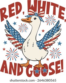 Patriotic Goose, 4th Goose girl, Retro 4th of July , America Coquette, Independence Day 