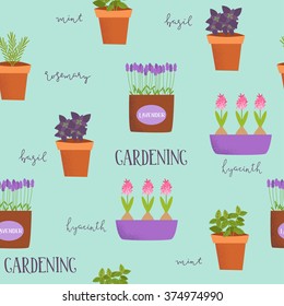 Patten of illustrations of plants in pots. Basil, rosemary, mint, lavender, tulips, hyacinths in different cute pots. Spring illustration. 