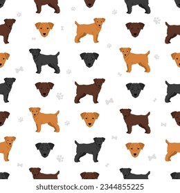 Patterdale terrier broken haired seamless pattern. All coat colors set. Vector illustration