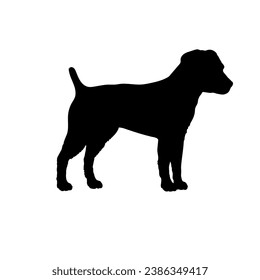 Patterdale Terrier Dog silhouette dog breeds logo dog monogram logo dog face vector