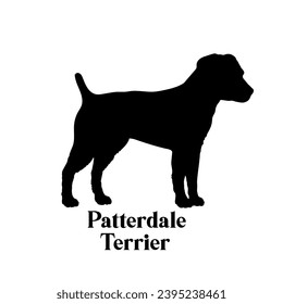 Patterdale Terrier Dog silhouette dog breeds logo dog monogram logo dog face vector