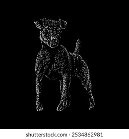 vetor de desenho de mão de Patterdale terrier isolado no fundo branco.