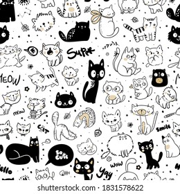 Patterin with funny cat, cute kitten illustration