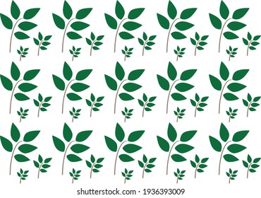 patrón hojas verdes abstractas plantilla de fondo ilustración vectorial de diseño natural