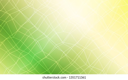 Pattern with abstract line in polygonal mesh style. For modern interior design, fashion print. Vector illustration. Creative gradient color