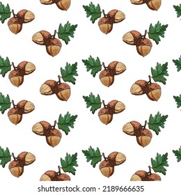 Pattern from acorns. Drawn watercolor acorns in vector format. Watercolor pattern. Autumn. Forest. Oak. Acorn.