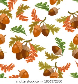 A pattern of acorns and leaves.Acorns and autumn leaves in a colored pattern on a white background.