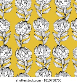 Pattern with African Protea flowers. Big beautiful flower. Dried flowers, decorated. Coloring book for children and adults with gentle proteas. For textiles, wallpaper, packaging. manual graphics.