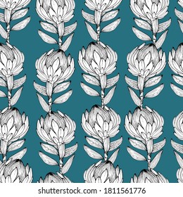 Pattern with African Protea flowers. Big beautiful flower. Dried flowers, decorated. Coloring book for children and adults with gentle proteas. For textiles, wallpaper, packaging. manual graphics.