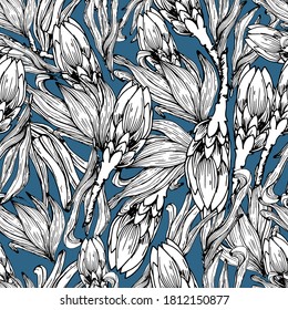Pattern with African Protea flowers. Big beautiful flower. Dried flowers, decorated. Coloring book for children and adults with gentle proteas. For textiles, wallpaper, packaging. manual graphics.