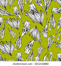 Patrón con flores africanas protesteras. Gran flor hermosa. Flores secas, decoradas. Libro de colorantes para niños y adultos con proteínas suaves. Para textiles, papel pintado, embalaje. gráficos manuales.