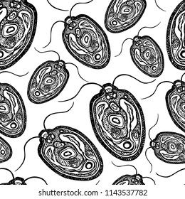 Pattern Of The Algae Chlorophyta