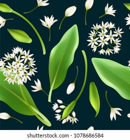 Pattern allium tricoccum, ramp, spring onion, ramson, wild leek and garlic. Vector illustration.