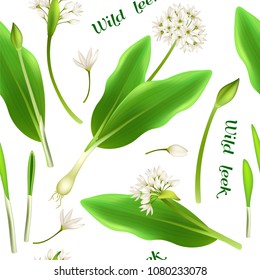 Pattern allium tricoccum, ramp, spring onion, ramson, wood leek and wild garlic. Vector illustration.