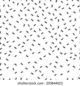 Pattern of ants