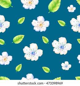 The pattern of apple flowers. Delicate apple or cherry flowers on an azure background.