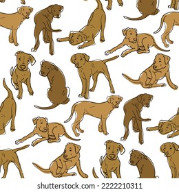 A pattern with an Argentine Great Dane in different poses. Graphics drawings of dogs in different poses with brown lines and spots. Suitable for printing on paper and textiles. Gift wrapping, clothing