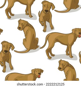 A pattern with an Argentine Great Dane in different poses. Vector graphics in 4 colors, close to the original. Suitable for printing on paper and textiles. Gift wrapping, clothing.