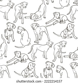 A pattern with an Argentine Great Dane in different poses. Line graphics on a white background. Suitable for printing on paper and textiles. Gift wrapping, clothing.