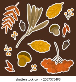 pattern with autumn beautiful leaves