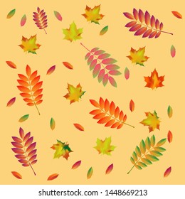 Pattern of autumn colored leaves on a soft blue background. Vector illustration.
