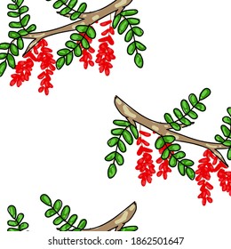 patrón con diseño de otoño bayas de barro rojo maduras
