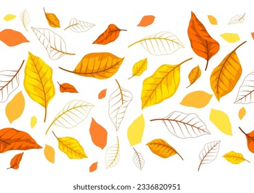 Patrón con hojas de otoño. Antecedentes con diversos follajes.