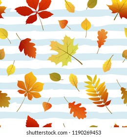 Pattern with of autumn leaves. Colorful vector illustration.
