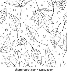 The pattern of autumn leaves. Maple leaves and wild grapes. Ornament of leaves. Vector drawing a line on a white background