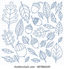 Pattern with autumn leaves Oak Mapple Acorn Linden