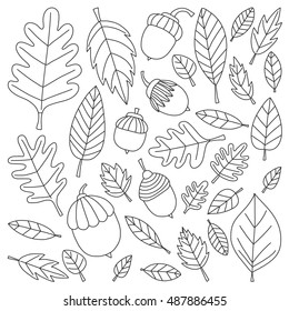 Pattern with autumn leaves Oak Mapple Acorn Linden