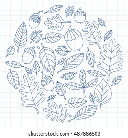 Pattern with autumn leaves Oak Mapple Acorn Linden