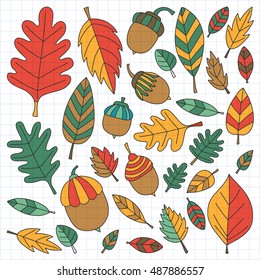 Pattern with autumn leaves Oak Mapple Acorn Linden