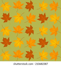 pattern of autumn leaves on a green background, vector