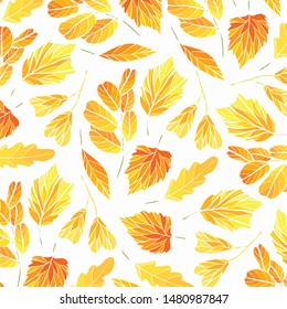 Pattern of autumn leaves on a white background