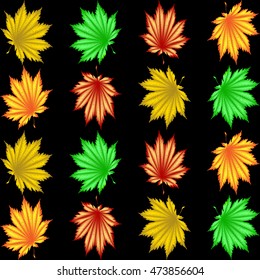 The pattern of autumn leaves. Red, yellow, orange, green maple leaf or fern for background or pattern on a black background.