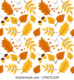 
Pattern autumn leaves set isolated on white background. Flat vector illustration. Yellow and orange colors.