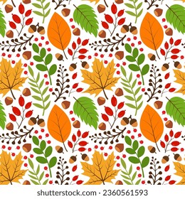 Pattern with autumn leaves. Vector seamless drawing of leaves, acorns, nuts, mountain ash. Background for textiles or book covers, wallpaper, design, graphics, printing, hobbies, invitations.