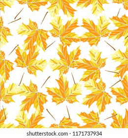 The pattern of autumn maple leaves on a white background, you can use for the design of postcards and posters on the school theme, wallpapers, textiles and various works on the autumn theme
