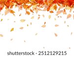 Pattern of autumn oak leaves gently falling against a white background. Vector illustration.