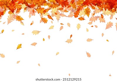 Pattern of autumn oak leaves gently falling against a white background. Vector illustration.