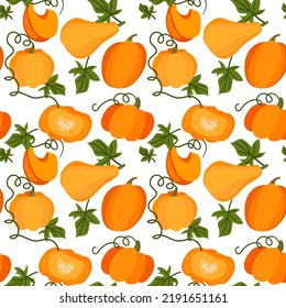 Pattern autumn pumpkins with leaves. Various shapes and sizes of orange pumpkin are isolated on a transparent background. Vector illustration. Printing, kitchen, food, products, labels