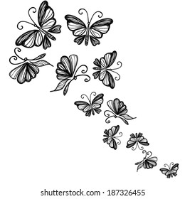 pattern background butterfly vector