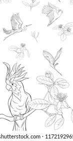 Pattern, background with with feijoa flowers with herons and cockatoo parrot. Vector illustration.  Outline hand drawing. Good for coloring page for the adult coloring book.