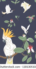 Pattern, background with with feijoa flowers with herons and cockatoo parrot. Vector illustration.  On dark blue background. 