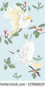 Pattern, background with with feijoa flowers with herons and cockatoo parrot. Vector illustration.  On soft blue background. 