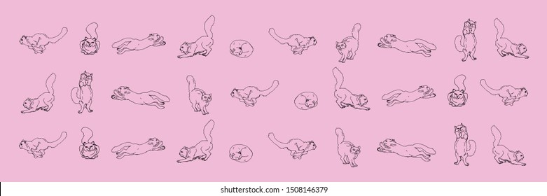  pattern, background, with images of playing cats on white and color background 