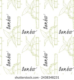 Pattern of Bamboo sticks and leaves on white background.
