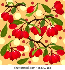 Pattern barberry. A seamless pattern of branches barberry leaves and circles